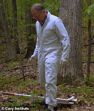 Dr. Ostweld leitet seit fünf Jahren ein Projekt zur Erforschung von Möglichkeiten, die Zeckenpopulation zu reduzieren und dadurch die Zahl der Lyme-Borreliose-Fälle zu senken