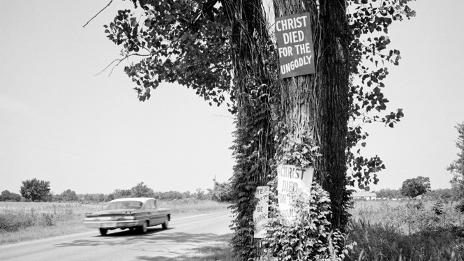 Schwarz-Weiß-Foto eines Autos, das an einem Baum vorbeifährt und auf dem Schilder stehen 