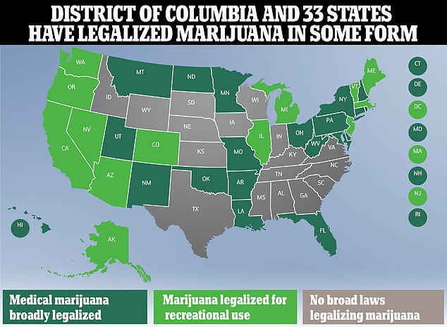 In 22 US-Bundesstaaten darf Marihuana in der Freizeit konsumiert werden