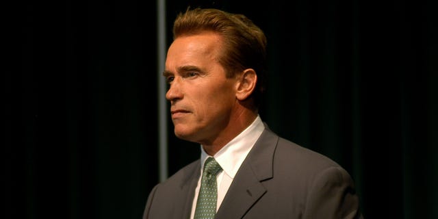 Arnold Schwarzenegger in a suit
