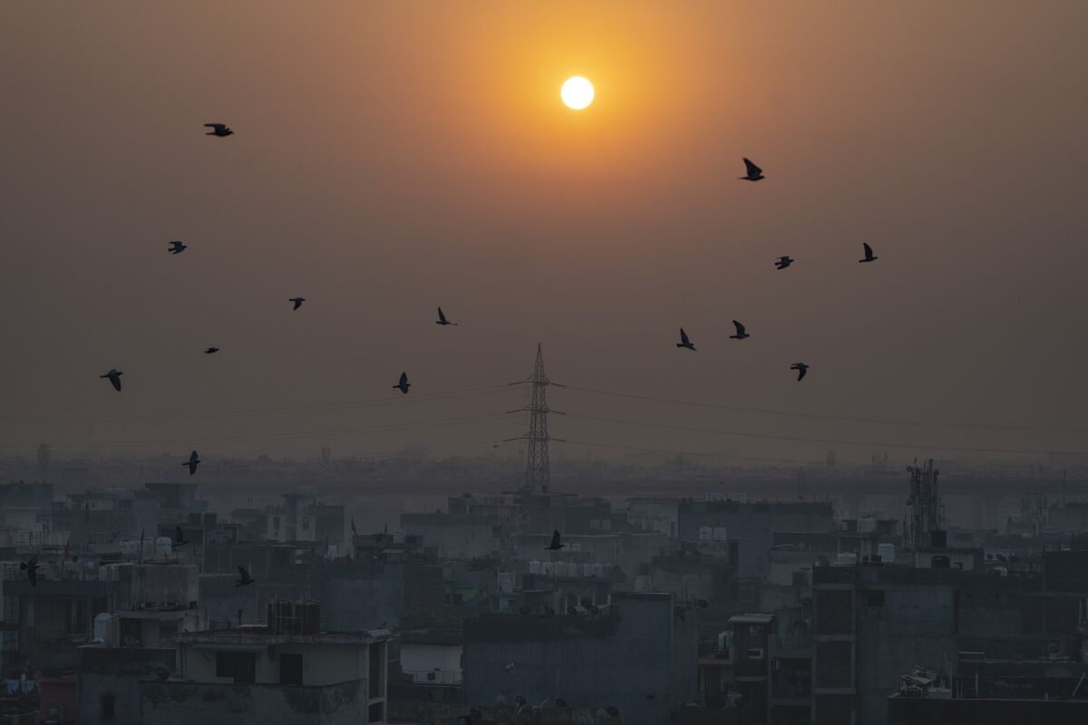 Vögel fliegen im Vordergrund einer aufgehenden Sonne, während der Morgendunst die Skyline von Neu-Delhi einhüllt.