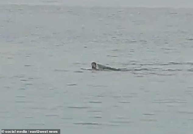 Entsetzt sahen Touristen vom Ufer aus zu, wie das Biest Wladimir Popow verwundete, bevor es ihn unter Wasser zog