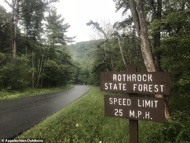 Der Penn State-Professor wurde angeblich auf frischer Tat mit seinem Collie von einer Parküberwachungskamera im Rothrock State Forest in Pennsylvania ertappt (Bild)