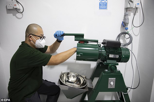 Joe Kam, einer der Gründer von „The Green Mortician“, mahlt in Singapur die Knochen eingeäscherter Haustiere mittels Aquamation mithilfe einer Maschine