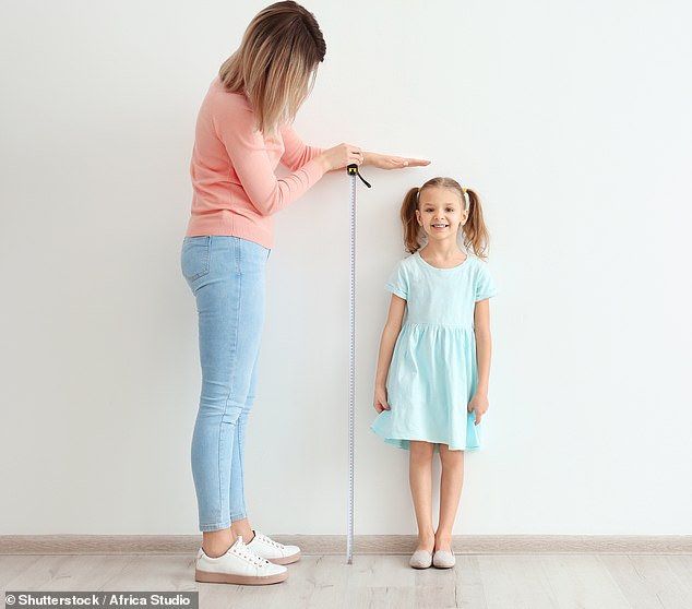 Britische Fünfjährige sind im Durchschnitt sieben Zoll kleiner als Kinder in den Niederlanden, wobei eine schlechte Ernährung dafür verantwortlich gemacht wird, dass Kinder in der Größenrangliste zurückfallen (Archivbild)