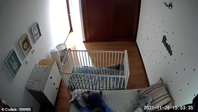 Schließlich schafft er es sicher zum größeren Bett, bevor er schnell zur Tür rennt (Bild).
