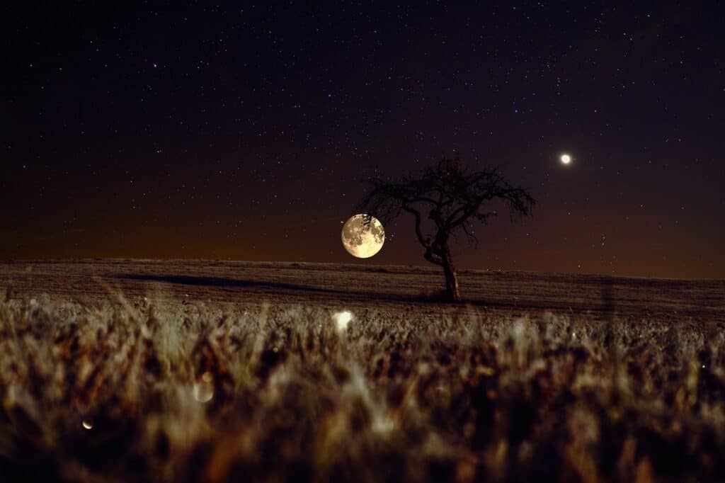 Nachthimmel Venus und Mond