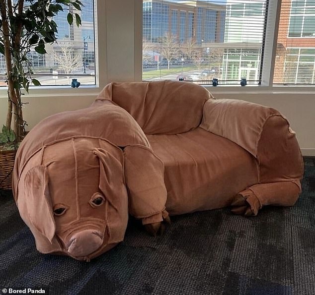 Oink, oink!  Währenddessen entdeckte eine andere Person in dem schrulligen Büro eine Couch in Form eines sehr traurigen Schweins
