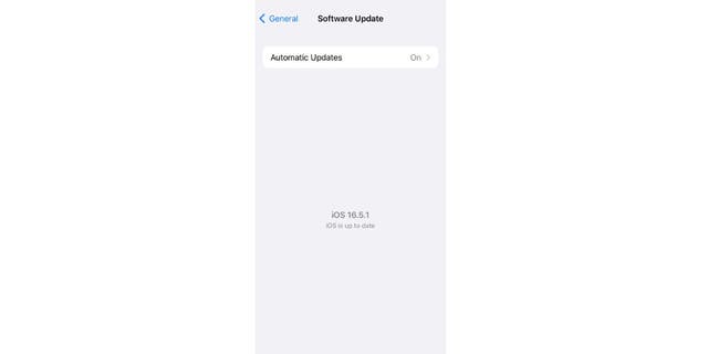 Überprüfen des iOS-Updates auf dem iPhone