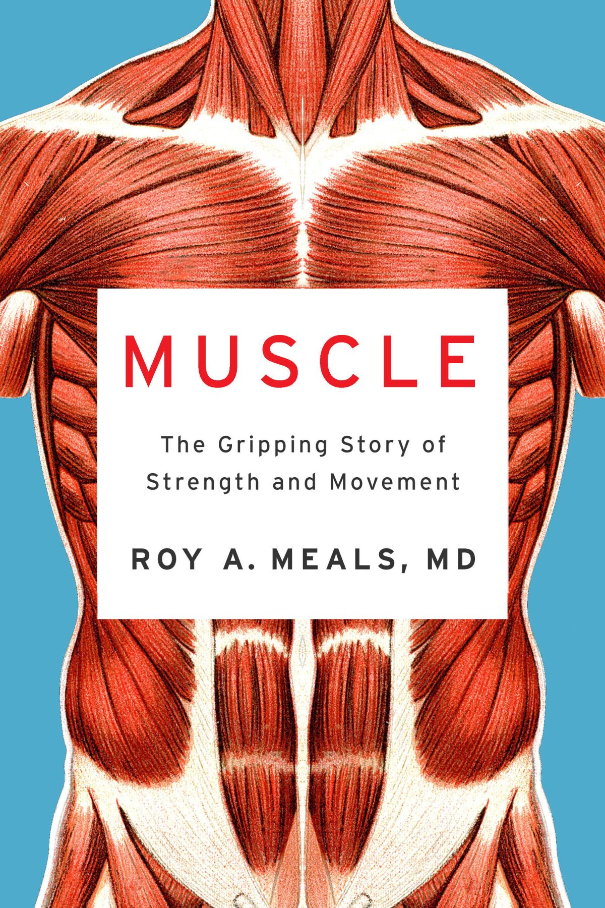   Das Buchcover für „Muscle“ von Roy A. Meals zeigt einen anatomischen Körper