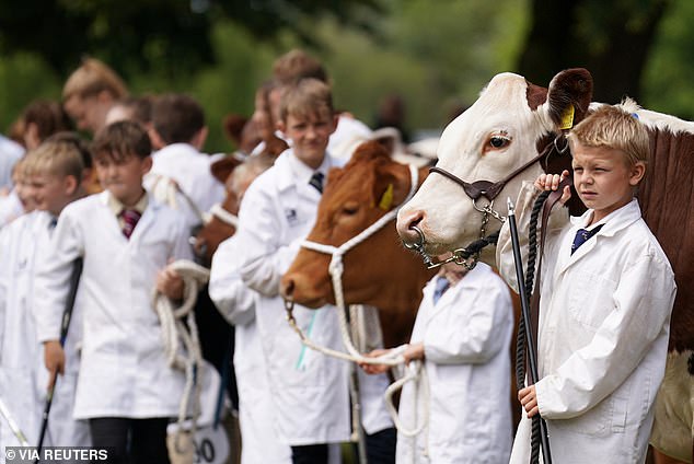 Die Royal Norfolk Show ist die größte landwirtschaftliche Veranstaltung im Vereinigten Königreich und fördert den Einstieg junger Landwirte in die Branche. Junge Viehzüchter, hier zu sehen, warten darauf, den Prinzen zu treffen