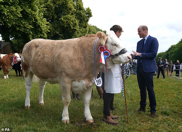 Viehführer wurden bei der Veranstaltung auf dem Norfolk Showground von Prinz William mit Preisen ausgezeichnet