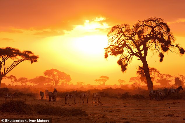 Auf einer vom Reiseveranstalter Great Plains kuratierten Reise verbringen Katie Nicholl und ihre Familie drei Tage im Chyulu Hills Nationalpark, bevor sie in die Masai Mara fliegen (im Bild).