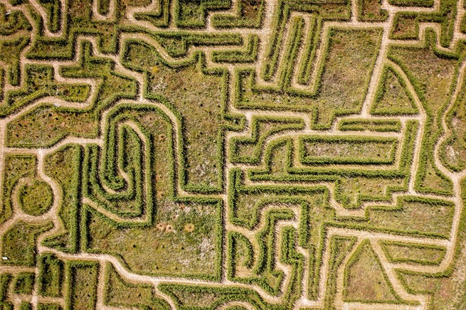 Heckenlabyrinth in Dänemark