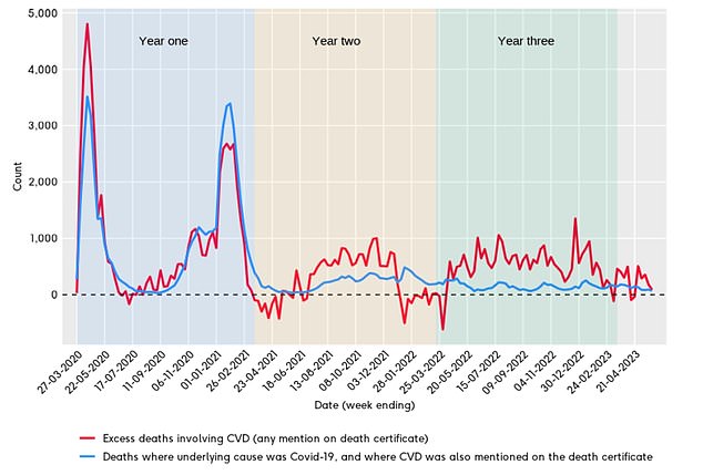 In England gibt es mehr Todesfälle im Zusammenhang mit Herz-Kreislauf-Erkrankungen (jede Erwähnung auf der Sterbeurkunde), verglichen mit Todesfällen, bei denen die zugrunde liegende Ursache Covid war und bei denen auch Herz-Kreislauf-Erkrankungen auf der Sterbeurkunde vermerkt waren.  Die rote Linie bezieht sich auf übermäßige Todesfälle im Zusammenhang mit Herz-Kreislauf-Erkrankungen.  Blaue Linien zeigen Todesfälle, bei denen die zugrunde liegende Ursache Covid war und bei denen auch Herz-Kreislauf-Erkrankungen auf der Sterbeurkunde vermerkt waren