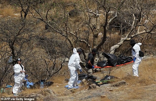 Forensische Experten tragen am Dienstag mehrere Säcke mit menschlichen Überresten, die aus dem Grund einer Schlucht im westmexikanischen Bundesstaat Jalisco geborgen wurden