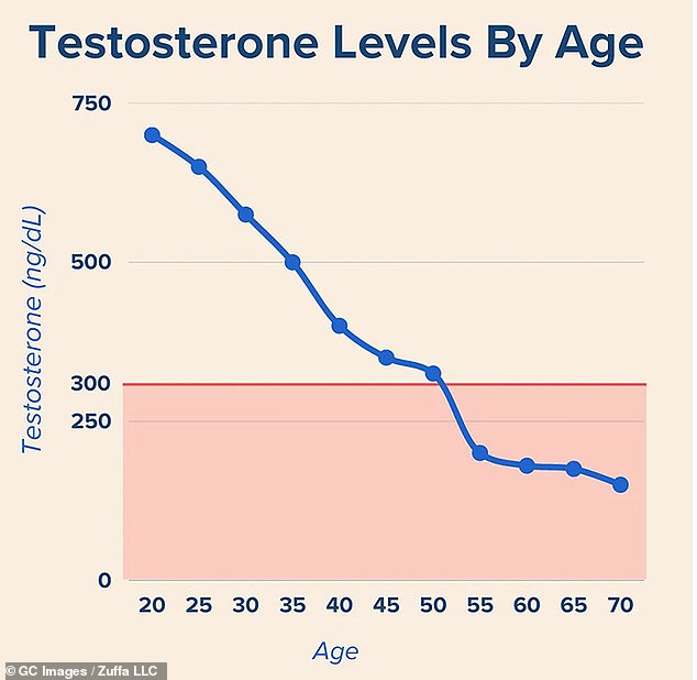 Der Testosteronspiegel erreicht im jungen Erwachsenenalter, etwa im Alter von etwa 20 Jahren, seinen Höhepunkt, sinkt jedoch ab dem 30. Lebensjahr jährlich um etwa 1 Prozent