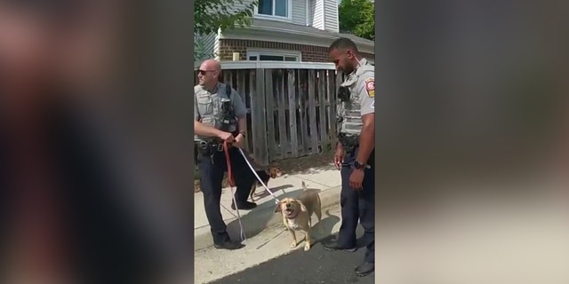 Polizisten halten einen geretteten Hund an der Leine