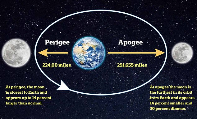 Supermonde finden statt, wenn sich der Mond im „Perigäum“ befindet – seiner größten Nähe zur Erde