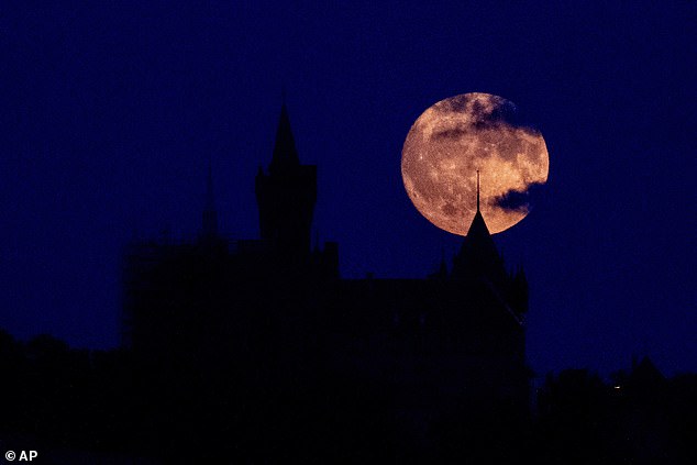 Der Buck-Mond geht hinter dem Schloss Wernigerode in der Nähe des Harzes in Deutschland auf