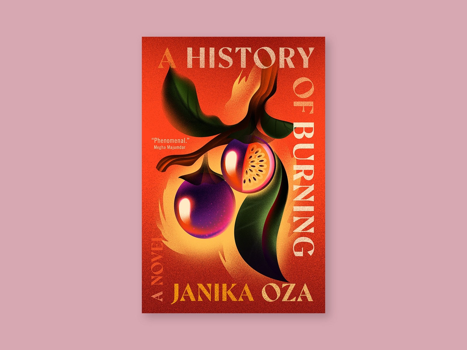 Das Cover des Buches „A History of Burning“ von Janika Oza.