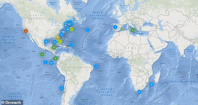 Das in den USA ansässige Unternehmen Ocearch hat neben Schildkröten (dunkelgrün), Delfinen (rot) und Alligatoren (hellgrün) auch 400 Haie aufgespürt (blau markiert).