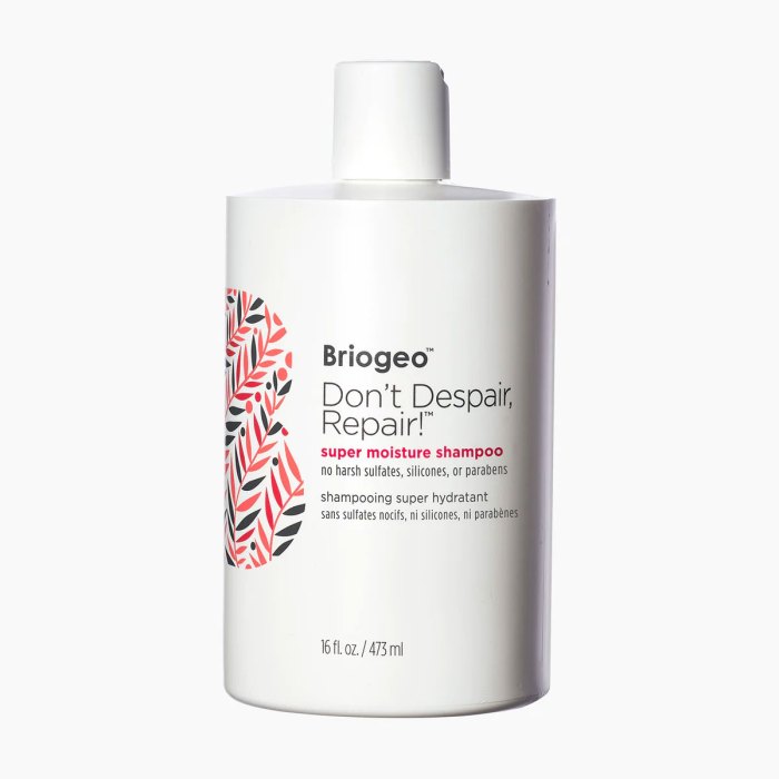 13 Best Shampoos for Dry Damaged Hair 