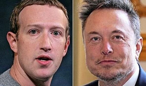 Plonkers: Mark Zuckerberg und Elon Musk