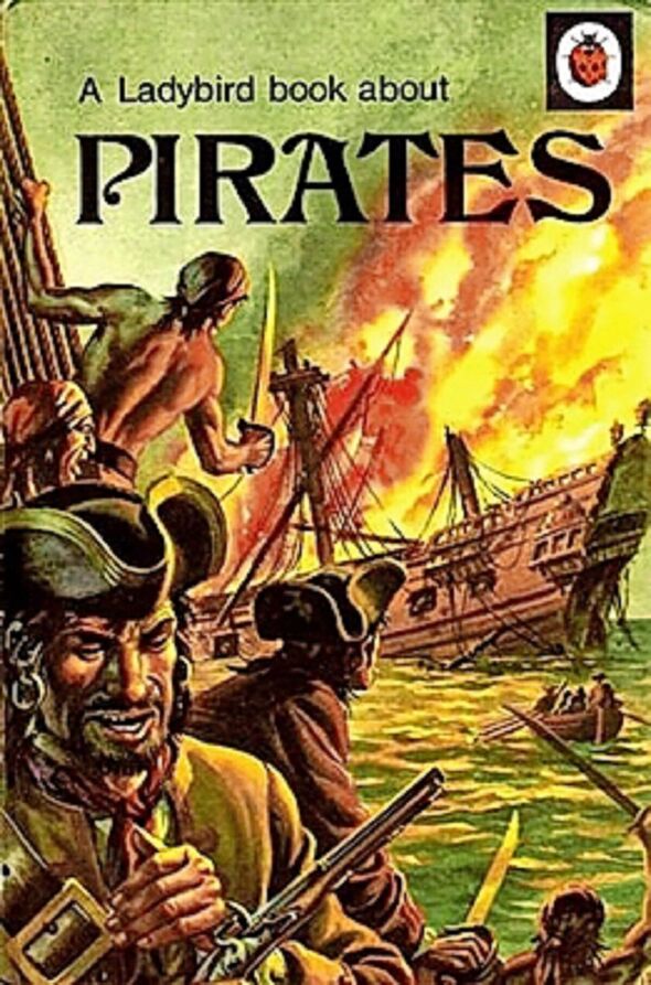 Ein Marienkäfer-Buch über Piraten