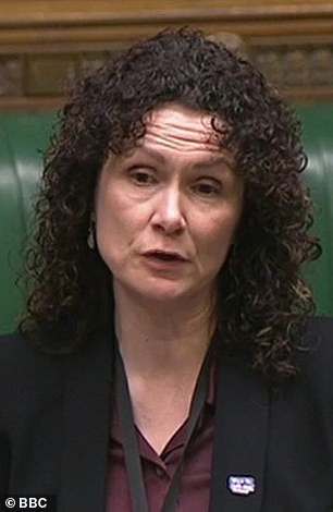 Fehlende NI-Credits: Die Regierung musste die Probleme eingestehen, nachdem die Abgeordnete der Liberaldemokraten Wendy Chamberlain im Parlament Antworten verlangte.