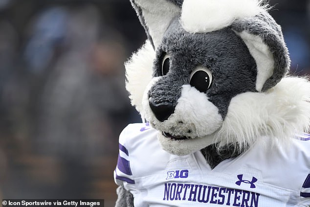 Nach Angaben eines ehemaligen Spielers (im Bild das Maskottchen der Schule, Willie the Wildcat) gehörten zu mehreren Belästigungsvorfällen im Football-Programm von Northwestern sexualisierte Handlungen.