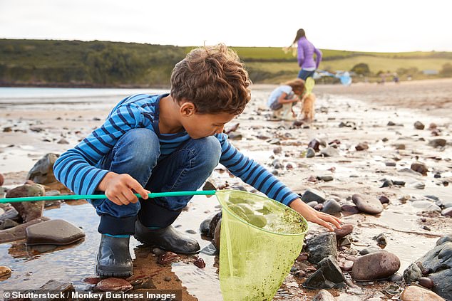 Im Allgemeinen spielen Ausflüge an den Strand eine große Rolle in den glücklichen Erinnerungen der Briten – auf dem siebten Platz liegt das Erkunden von Felsenbecken mit einem Netz und das Essen von Sandsandwiches am Strand (beide 19 Prozent).