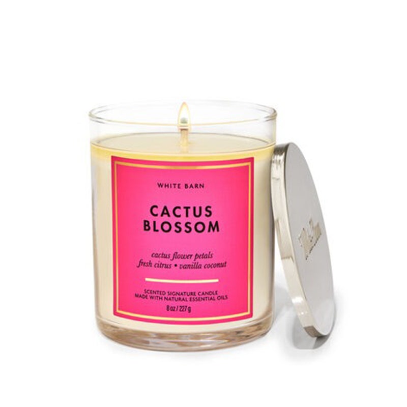 Die White Barn Cactus Blossom Kerze mit einem Docht von Bath & Body Works auf weißem Hintergrund