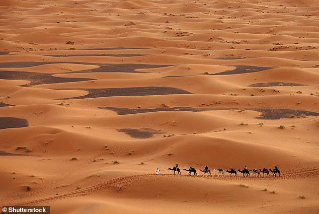 Die Route führt durch die Sahara, während Sie vom Sudan nach Ägypten gelangen
