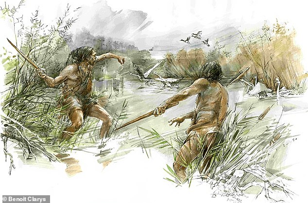 Die Wurfstöcke wurden rotierend geworfen – ähnlich einem Bumerang – und nicht über den Kopf geworfen wie ein moderner Speer, und könnten es den frühen Menschen ermöglicht haben, bis zu 30 Meter weit zu werfen