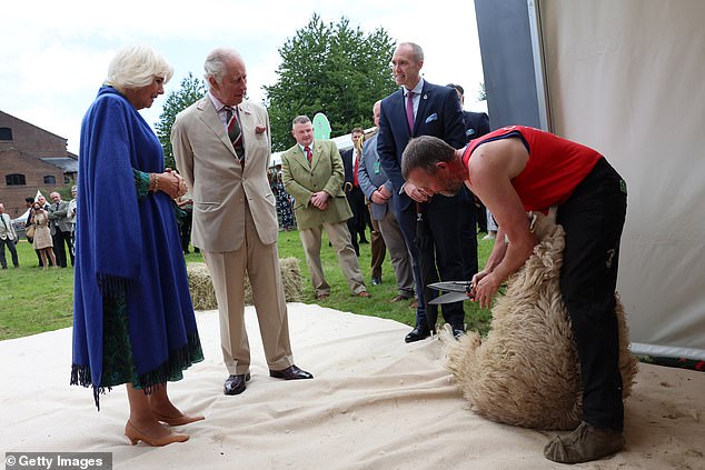 The King and Queen pictured watching some sheep-shearing during a tour of the community centre today