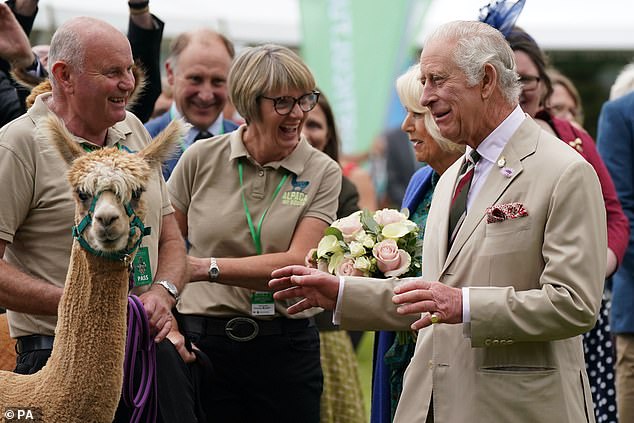 King Charles showed particular interest in the alpaca, which was participating in the annual Brecknock Agricultural Society show