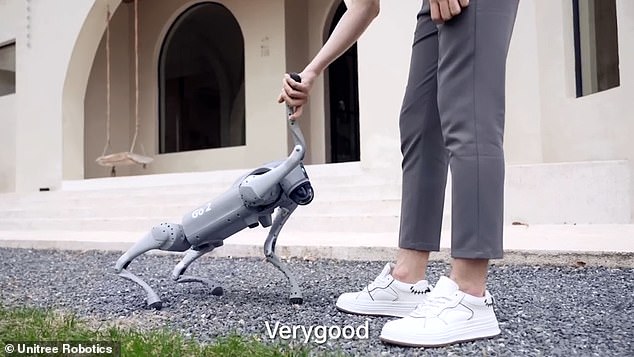 Was für ein guter Junge!  Im Werbevideo begrüßt Go2 seinen Besitzer und streckt ihm sogar eine „Pfote“ hin – ganz wie ein echter Hund