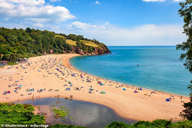BLACKPOOL SANDS, DEVON: This shingle beach, near the village of Stoke Fleming, is favoured for its 'clear blue waters' and 'surrounding scenery of cliffs, woodland and fields', according to reviews on Tripadvisor