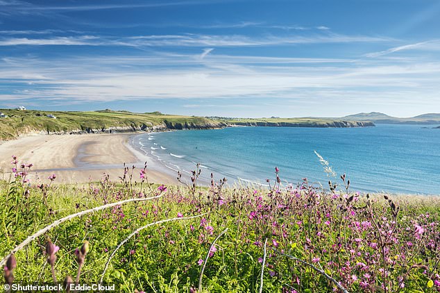 WHITESANDS BEACH, PEMBROKESHIRE: Whitesands Beach has fine white sand, top surfing waves and is positioned in a 'magnificent setting', declares Visit Wales, which adds: '[It's] ideal for sandcastle building, paddling and swimming [and] popular with... windsurfers, kayakers, divers and anglers'