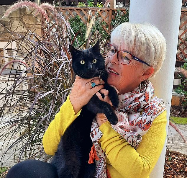 'Next week will be eight weeks since Merlin was diagnosed with FIP and I am keeping everything crossed for him,' says Janne