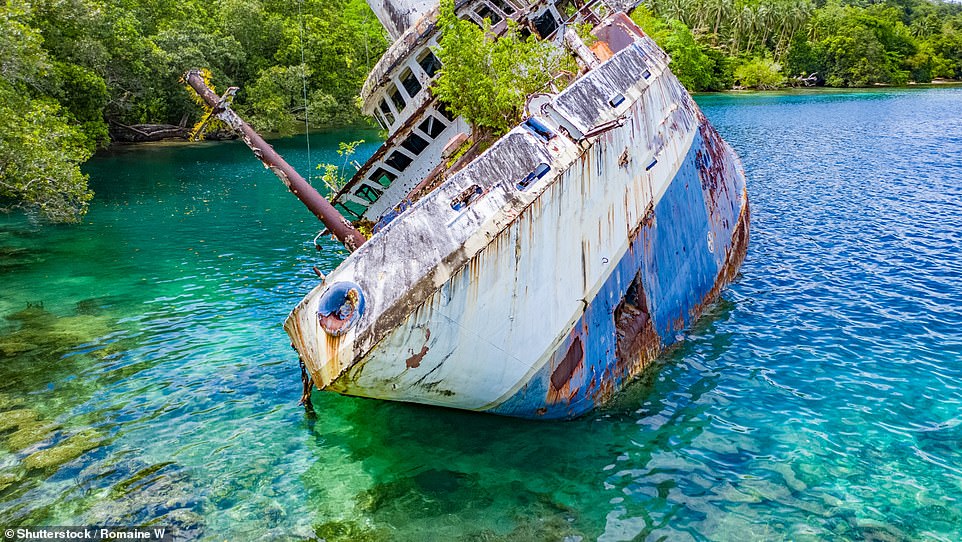 Die Natur hat das verlassene Kreuzfahrtschiff zurückerobert und auf seinen Decks sprießt jetzt viel Grün