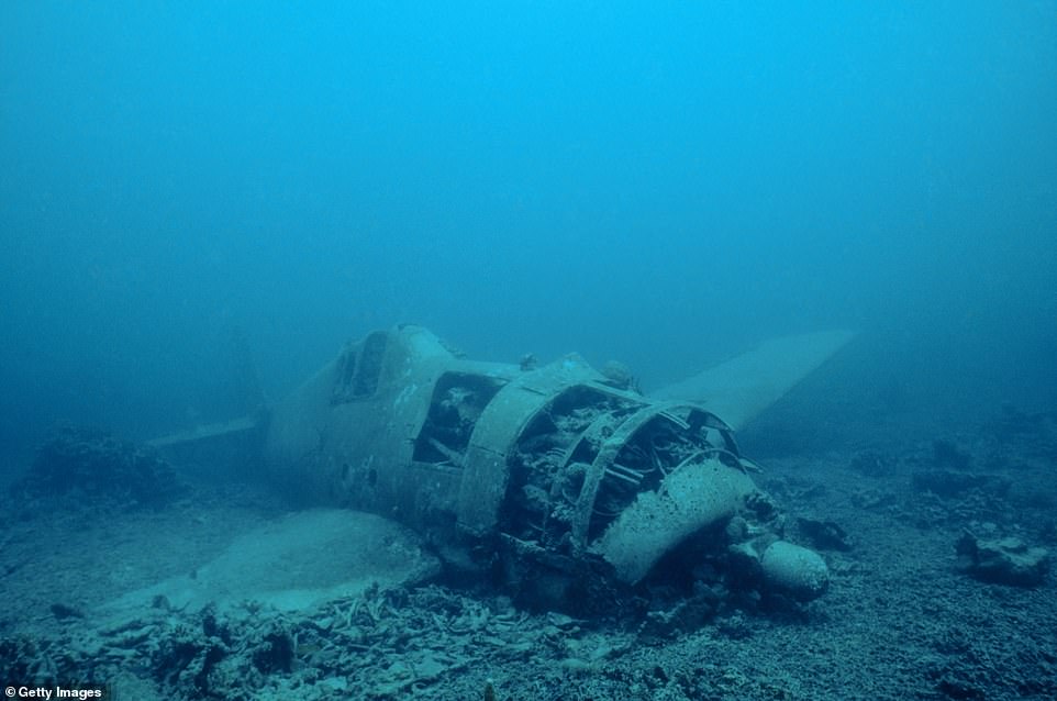Rund um die Salomonen liegen Hunderte versunkener Flugzeuge aus dem Zweiten Weltkrieg.  Oben ist das Wrack eines Hellcat-Flugzeugs