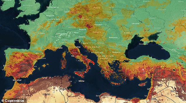 MailOnline takes a look at where more wildfires could start with the help of Europe's 'eyes on Earth' satellite programme, Copernicus. On the map above, a very low risk is green, low is greenish yellow, moderate is yellow, high is orange, very high red and dark brown extreme