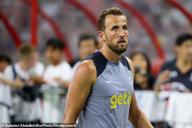 There is already uncertainty over Harry Kane's (pictured) future at the club after Lewis told Daniel Levy to sell the striker if he is unwilling to sign a new contract extension this summer