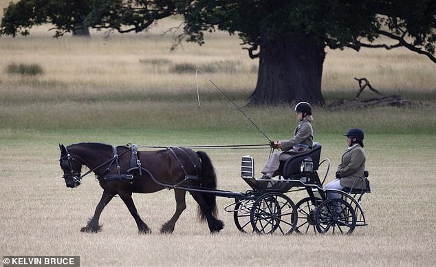 Lady Louise looked confident as she took the reigns while indulging in the hobby she shared with the Duke of Edinburgh, who was instrumental in helping to establish carriage driving as a sport in Britain