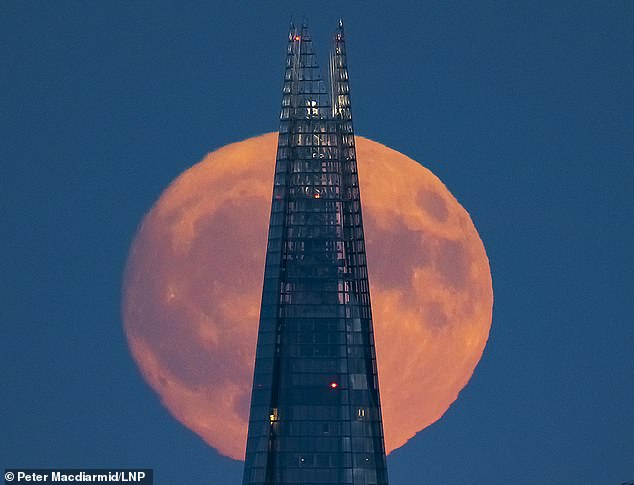 Großbritanniens höchstes Gebäude, The Shard, wurde heute Abend vom unglaublichen Buck-Supermond erleuchtet