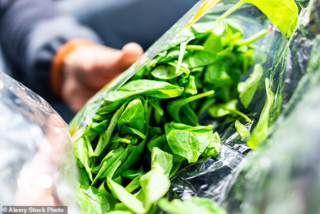 Ein Krankheitsausbruch in Florida wurde mit einem Parasiten in Verbindung gebracht, der abgepackten Salat kontaminierte