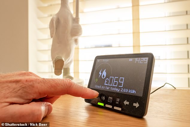 Druck: Der Energiekonzern Eon behauptet, dass Kunden nun „gesetzlich verpflichtet“ seien, auf einen Smart Meter umzusteigen