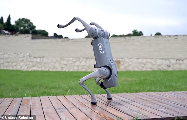 Angeberei: Der Roboterhund zeigt seine beeindruckenden Fähigkeiten, darunter Handstände, Sprünge und Tanzbewegungen
